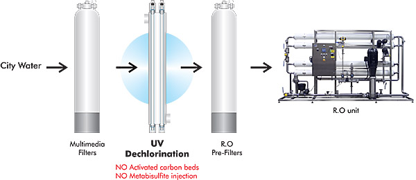 Ozone generator for water