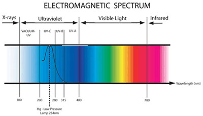 UV Sterilizer High Output, High-quality quartz, UV-C Lamp System