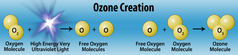 functions of ozone