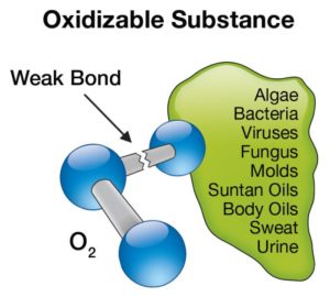 functions of ozone